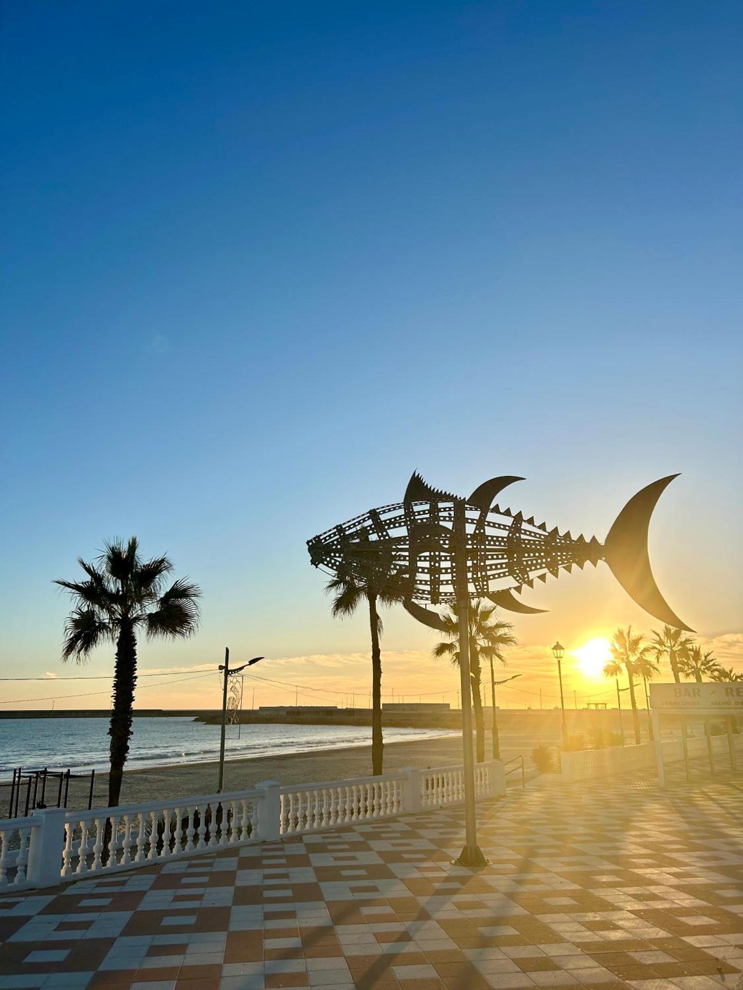 Apartamento Avenida De La Mar Barbate Eksteriør billede